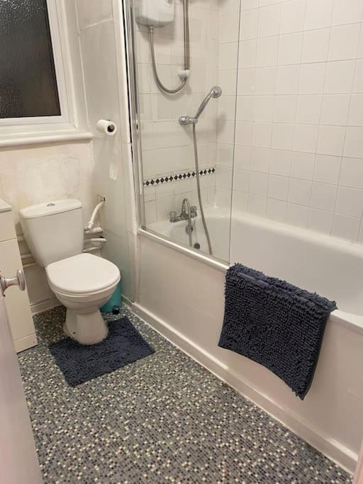 Appartamento Entire Flat With A Big Living-room, Bedroom, Kitchen, And Bathroom Londra